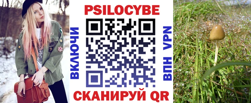Купить  Азнакаево  Псилоцибиновые грибы прущие грибы 